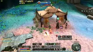 Aion Assassin 4.9 vol2 General Weapon2x