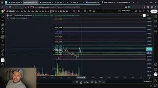 Прогнозы цен на ZORA!!! Насколько высоко они могут вырасти?!?!?!?!