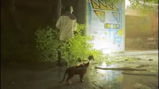 Stray part 2 Slums