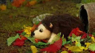 A Day in the Forest : University Solo Stop-Motion Animation