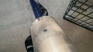 Dyson v11 Vs lots of dog hair and dust 💃🏻