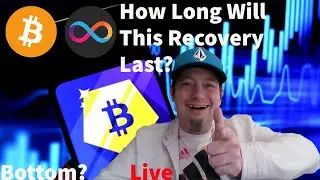 Icp and Bitcoin Recovery But How Long Will it Last?