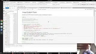 Voila + IPyWidgets + JupyterLab for super fast UI development without the pain of JavaScript