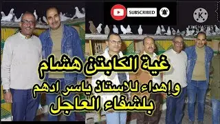 إتفرج على نش الحمام من غية القبطان هشام بميامى الإسكندرية فى حضور غواى محرم بك