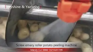Screw emery rollers potato peeling machine