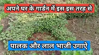 How to garden farming || गार्डन फार्मिंग के लिए कुदाल मे हैंडल Verma fabrication work