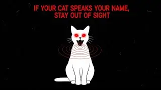 If Your Cat Speaks Your Name, Stay Out of Sight - Analog Horror