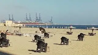 رحله علي البحر الساعه ٧الصبح تعالو شوفو ايه الي حصل انهارده