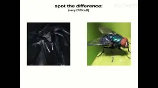 Spot the Difference (Part 2)