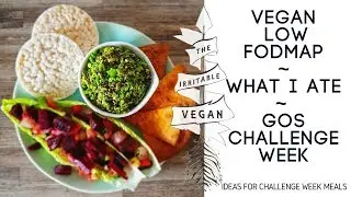 What I Ate / Low FODMAP GOS Challenge Week / Ideas for your Challenge Meals / The Irritable Vegan