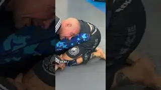 Beautiful turtle breakdown and strangle #bjj #ufc #combatsport #mma