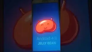 android 4.1 4.2 and 4.3 easter egg