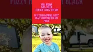 🚨 MISSING TODDLER: HELP FIND DANE PAULSEN 🚨 #amberalert #MissingChild #FindDanePaulsen