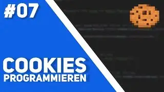[7] Setup Befehl (3/3) ✦ Cookies programmieren 🍪 ✦ pxav.