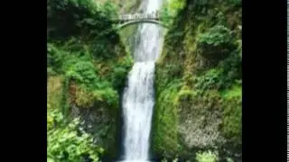Beautiful waterfalls & Birds Photo in the World 8
