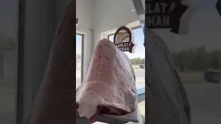 Eating camel meat is as easy as it is difficult to digest it#shorts #youtubeshorts #shortsfeed