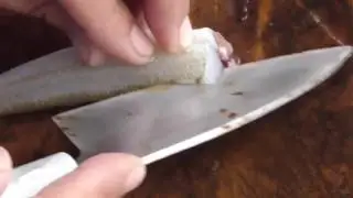 How to Clean and Fillet Japanese Whiting Fish