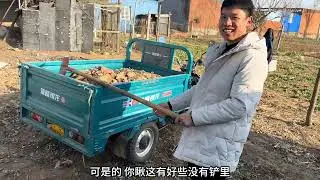 俺哥我们两个今天去养鸡子的院里给收拾好的碎石头装车拉出去。 #家庭日常 #家庭琐事 #记录生活