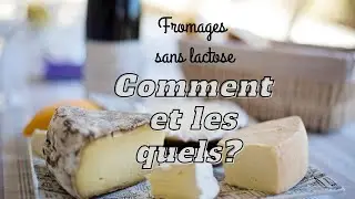 FROMAGE SANS LACTOSE COMMENT?? POURQUOI?? ET LESQUELS ??