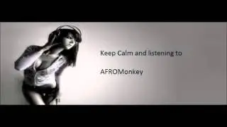 AFROMonkey Head Shot