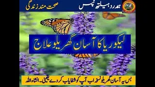 Likoria (leucorrhea)Treatment at Home|Lekoria Ka Desi Gharelu Ilaj|Hamdard HealthTips|Healthy life|