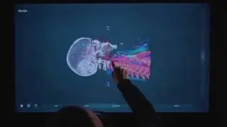 Inside Explorer - Making the Inside Visible - An intuitive and interactive 3D learning experience