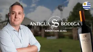 Antigua Bodega - O que voc&ecirc; precisa saber sobre essa vin&iacute;cola