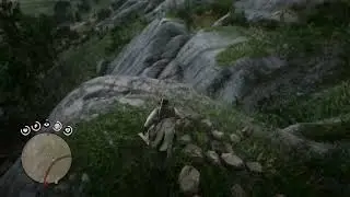 Red Dead Redemption 2_20260101162537