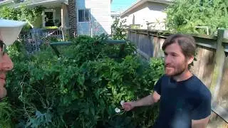 Passion Jardinage s’invite dans votre Jardin E04-S2019, JC Desjardins, Longueuil