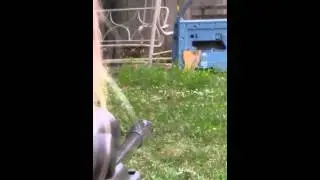 Megaboom