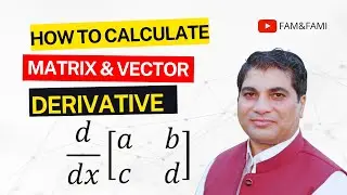 Derivative of a Matrix | Derivative of a Vector
