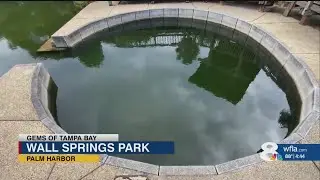 Check out this gem of Tampa Bay: Wall Springs Park