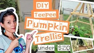DIY Pumpkin Trellis for $20 | ADHD MOM Garden Vlog + Chickens