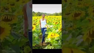 #SunflowerField #runwaymodel #modeling #modelcall #nycmodel #sunflowers #photography #fashionmodel