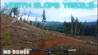 Mr Bones - North Slope Trails - Capitol Forest, WA