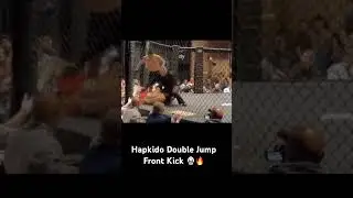 Hapkido Double Jump Front Kick 🥋🔥 #hapkido #martialarts #kicks #fight