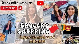 Grocery shopping | සිල්ලර බඩු සාප්පු සවාරි | 杂货店购物 | Lappeenranta | Finland