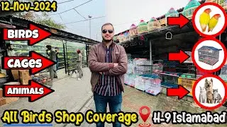 Sunday Birds market Islamabad || Whole bazar Coverage || All shops Visiting vlog.