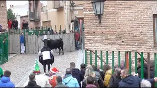 Toro de 