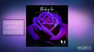 Isa Marina - Bleeding Love (Leona Lewis Cover)