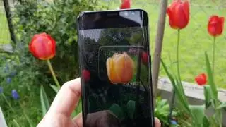 Bixby vision