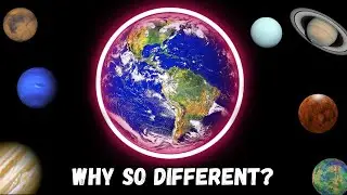 What Makes Life on Earth Possible?  🌎 #planetearth #blueplanet