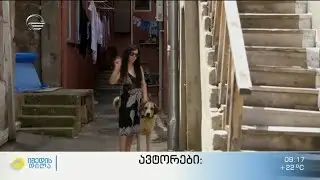 ცხოველთა მოვლა-პატრონობის წესის დარღვევის შემზარავი ფაქტი თბილისში