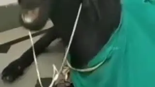 Erchivo