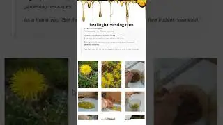 Folklore Wisdom: Raw Honey & Dandelion! 🌼 #healingharvestlog #rawhoney #homestead #wildedibles #raw