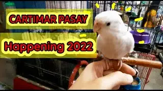 CARTIMAR PASAY 2022 | VIRTUAL TOUR | PET STORE MANILA
