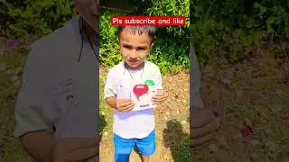 Fruits Activity in School  #fruits #ytshorts