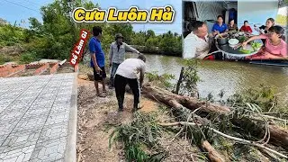 Mướn Thợ Vô Cưa Cây Và Làm Món Mỹ Trinh Thích Để Xuất Viện