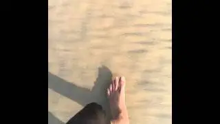 Footsteps on the beach