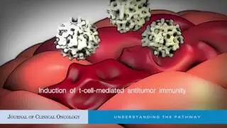 Oncolytic Virus-Mediated Immunotherapy: A Combinatorial Approach for Cancer Treatment
